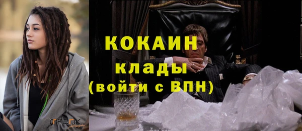 соль ск Арсеньев