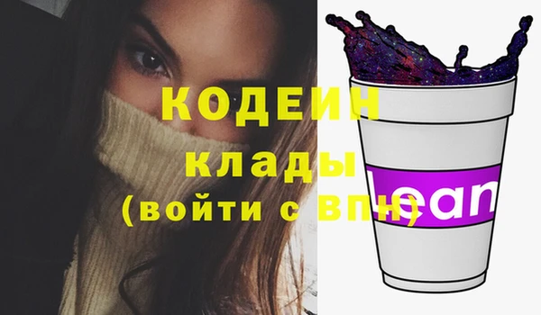 соль ск Арсеньев