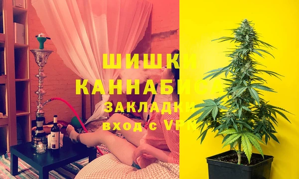 соль ск Арсеньев