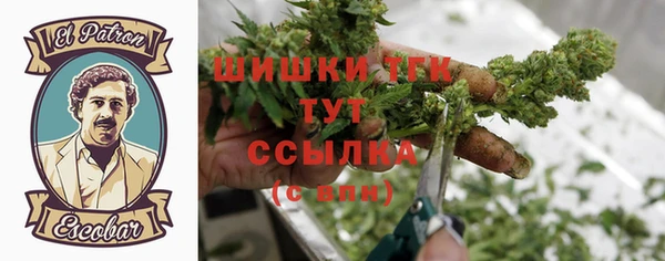 соль ск Арсеньев
