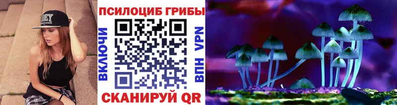 Псилоцибиновые грибы Psilocybe  купить  цена  сайты даркнета Telegram  Холмск 